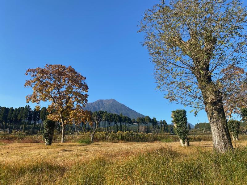 霧島SAから見る夷守岳（ひなもりだけ）