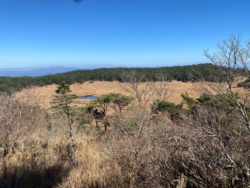 中央は湿原となっています。