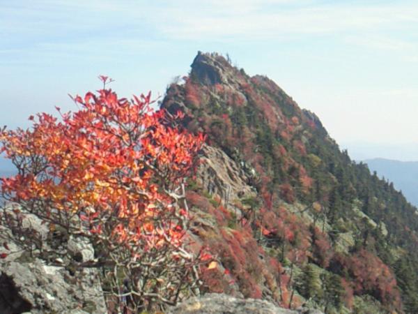 紅葉の頂上天狗岳