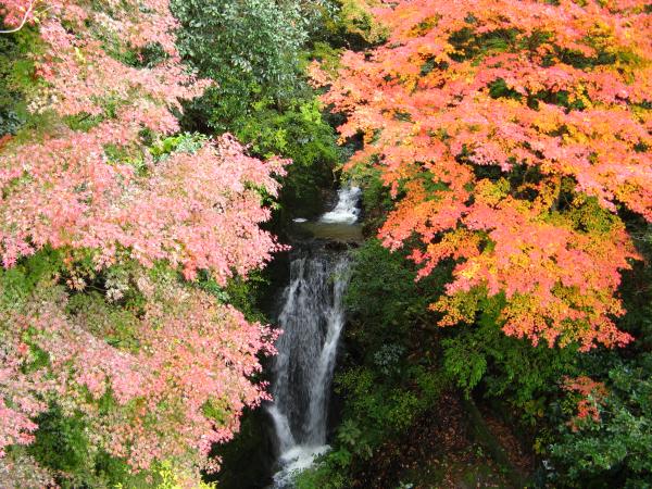 地蔵堂の滝と紅葉