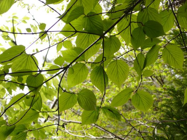 心のフィルターが洗われます（深い意味は無い）