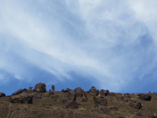 一ノ峯のエリア全景