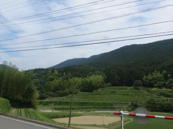 萩尾地区より鉾立山方面を望みます