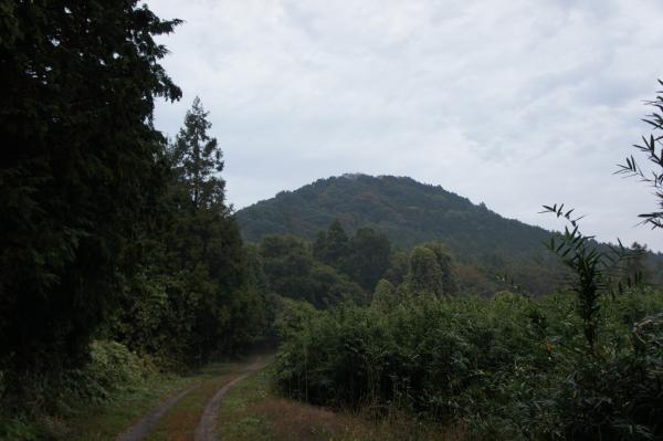 林道からの芳賀富士。