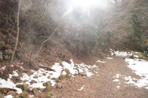 ウグイス谷コースから向い経読林道辺りから雪がみえてきました。