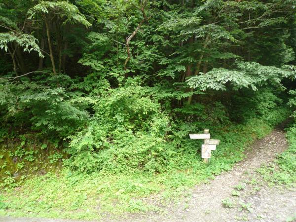 下りは飛ばしましたね～。お疲れ様でした