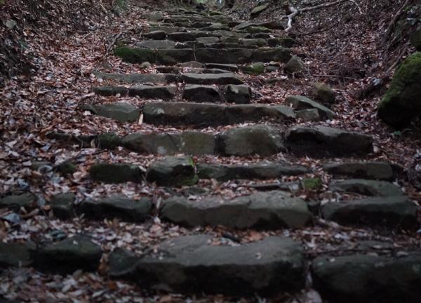 阿弥陀寺へｎ苔むした階段