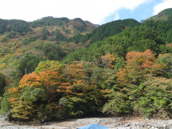 紅葉も色づき始めています。