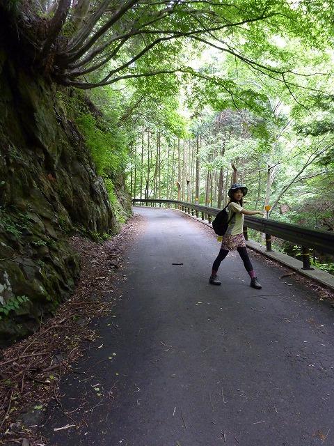 最初の3～40分は道路を歩きます！