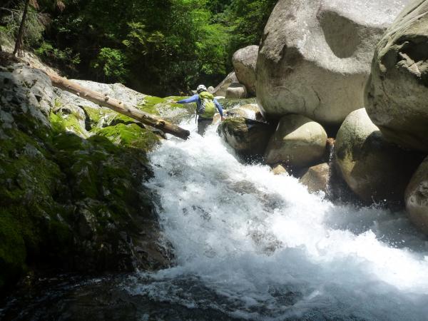 意外と水の中も歩けます。