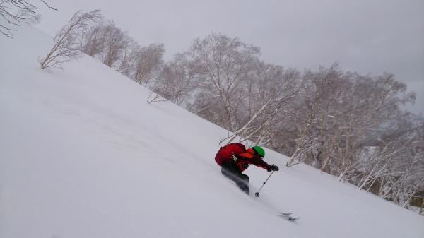 良い雪でした。