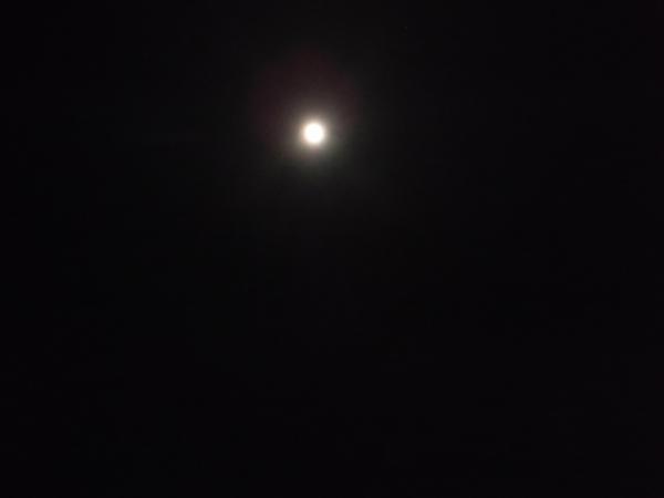 月明かりで明るい夜だった。
