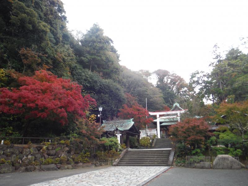 鶴岡八幡宮と鎌倉宮に立ち寄りました。