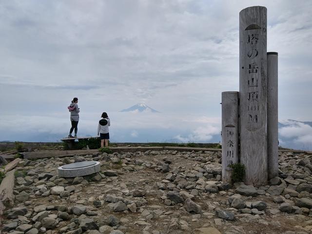 塔ノ岳まで来たら富士山が顔を出してくれました。