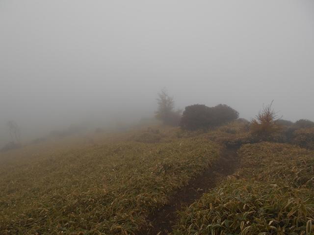 霧降高原は霧の湧きやすい場所。広い笹原に道が錯綜しています。