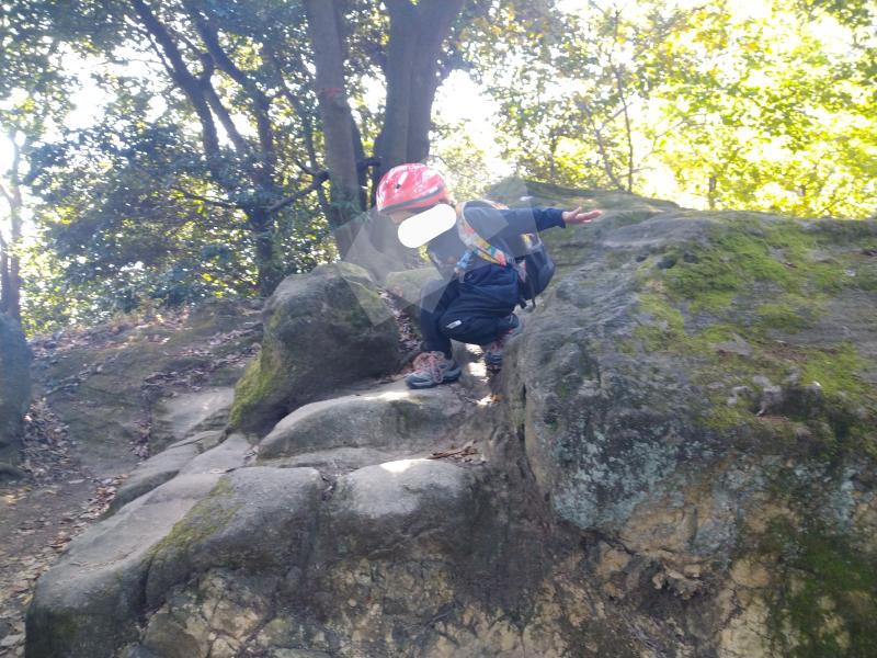 直登ルートは急な斜面で岩も多くなります。