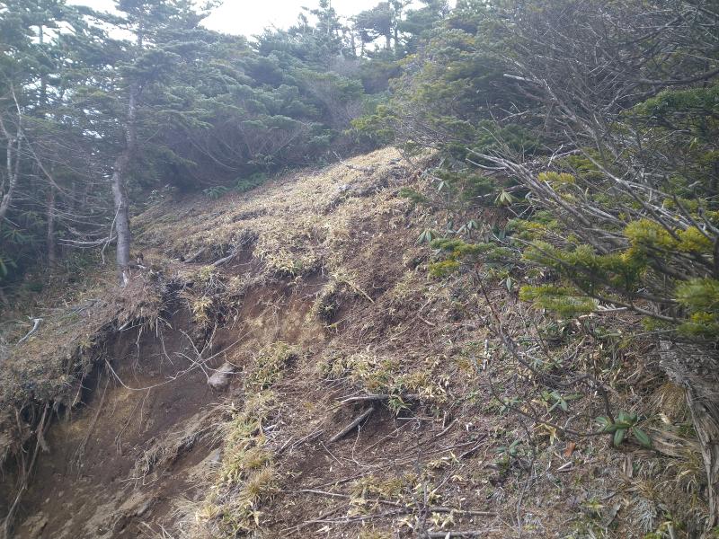 大真名子山の山頂前で崩落して登山道が途切れている場所も。