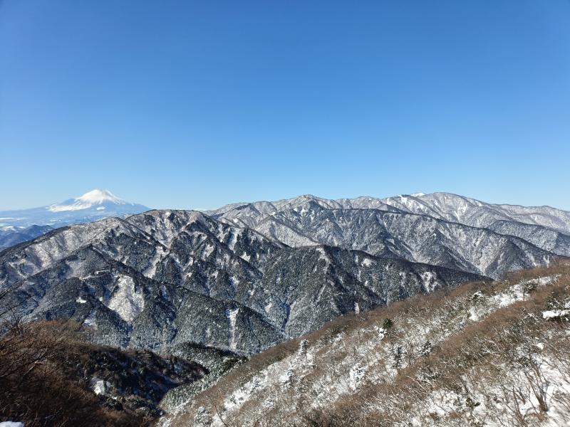 白さ際立つ富士山と丹沢表尾根