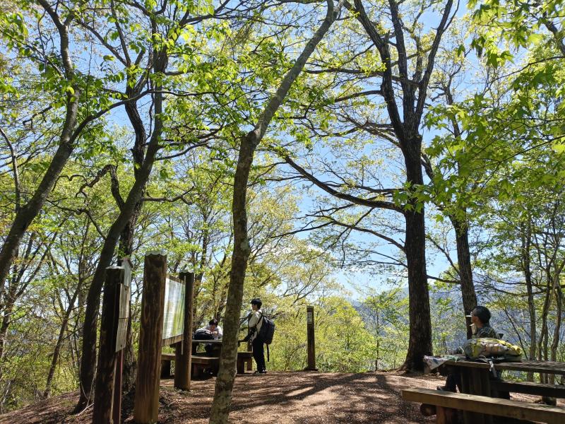 石砂山　のんびりと木漏れ日の気持ちの良い山頂でした。