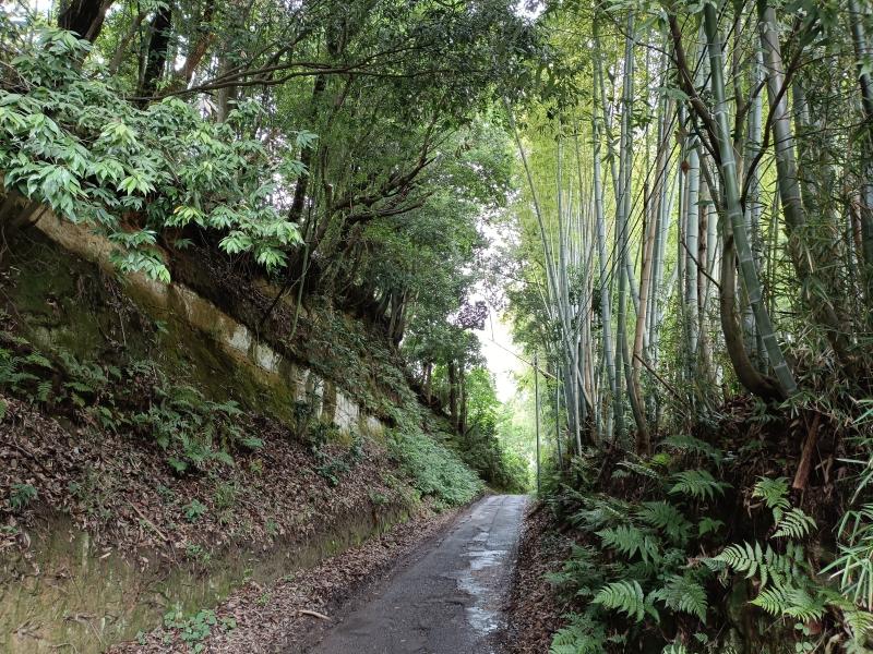山谷の切通。地層が露出していて泥岩の上に土の層が乗っているのがよくわかるし、触れる！