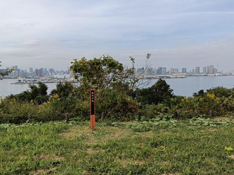 西の小山　東京タワーとスカイツリーが同時に見られる場所。意外と少ないと思います。