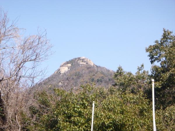 登山口からすぐの所で火山山頂が見えます