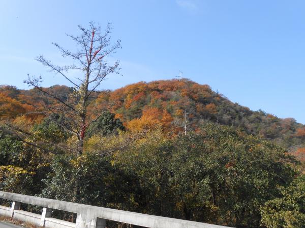 うーん、気持ちが良い♪