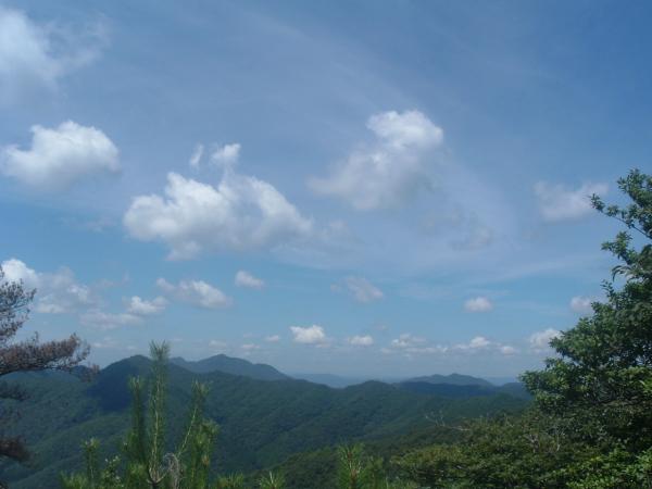 明日の夜には台風がくるらしい。