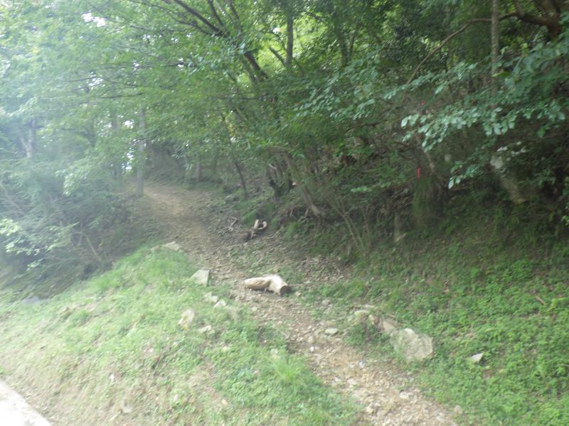 登山道入り口。