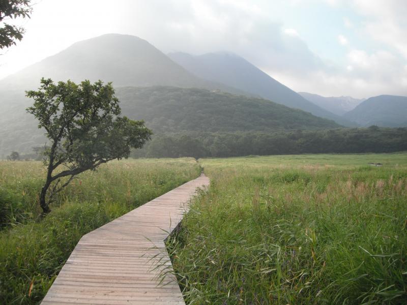 タデ原湿原の向こうに見えるのは三俣山でしょうか。