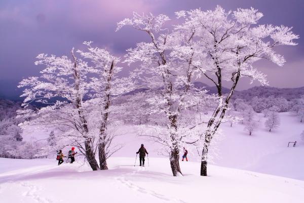 美しい景色です