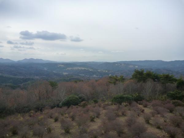 頂上からは360度の大パノラマが望めます