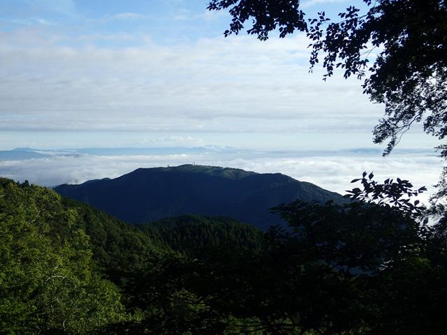 大和葛城山の回りも雲海でした。