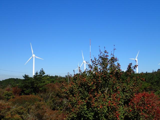 風車が印象的な青山高原