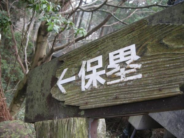 やってきましたよ。