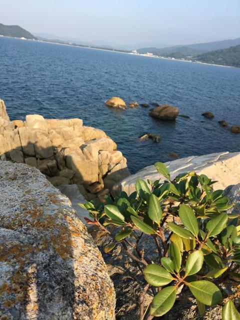 海沿いののんびりしたボルダー。