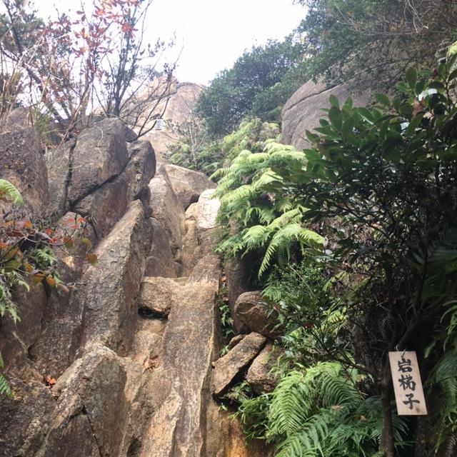 出た！岩梯子。