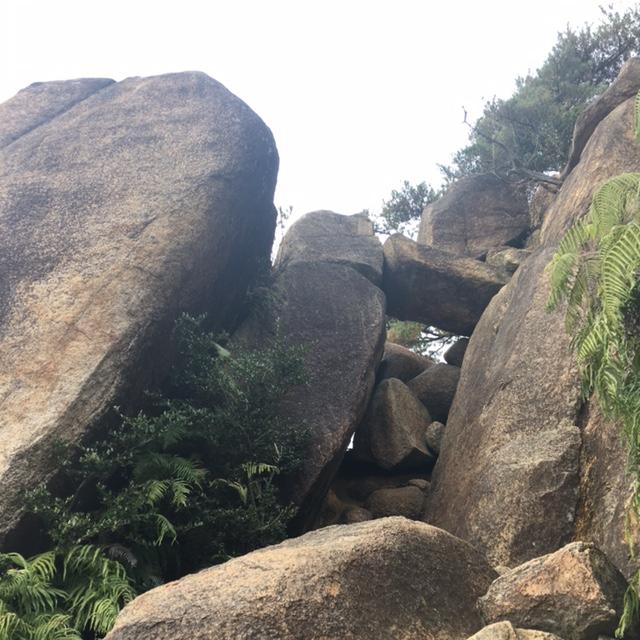 鈍った身体に堪えるすり抜けポイント。