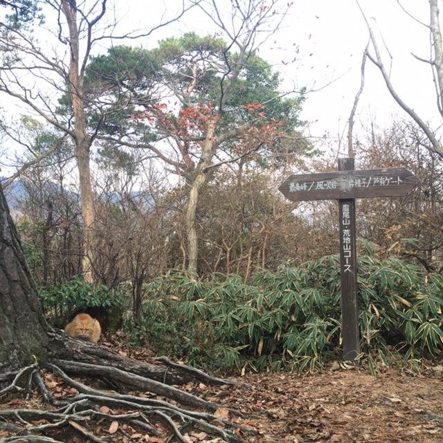 猫山さんが私設エイドステーションで待っていてくれます。