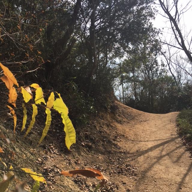 13時でもう西日。