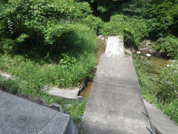 早すぎた入渓・・・