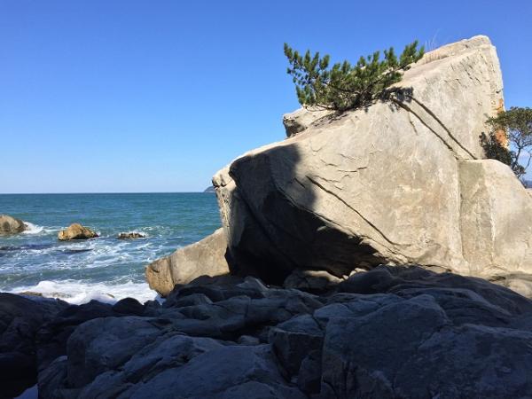 大入の代名詞、HDJの岩