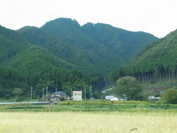二股山