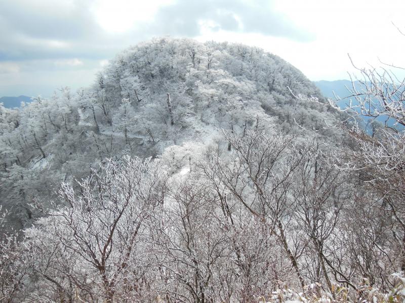樹氷のきれいな英彦山（南岳）