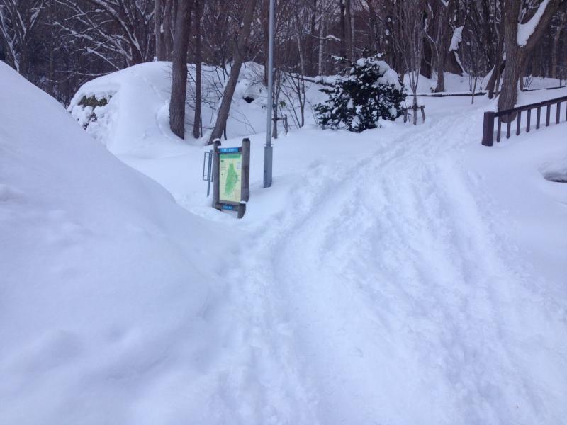 旭山記念公園登山口、雪たっぷりです