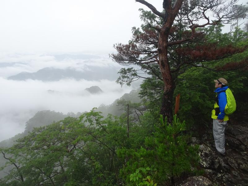 雨の鳳来寺山へ