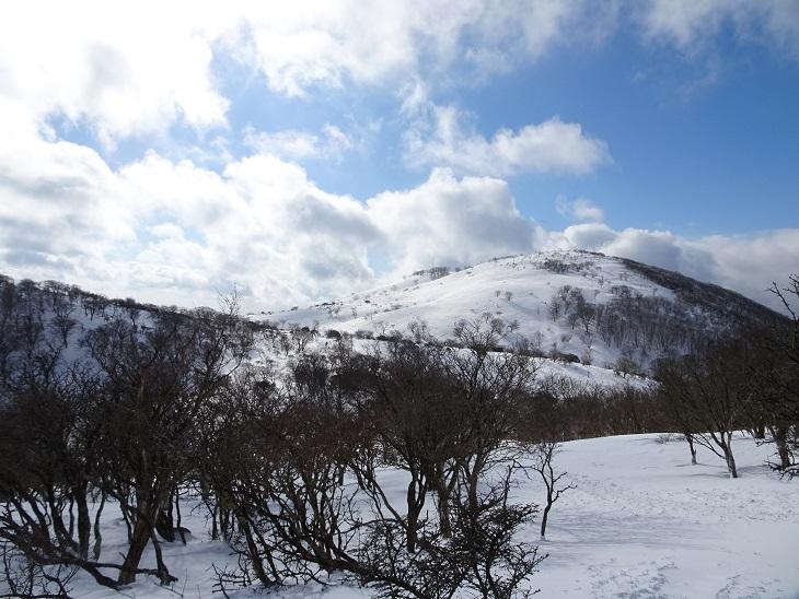 雪の藤原岳へ