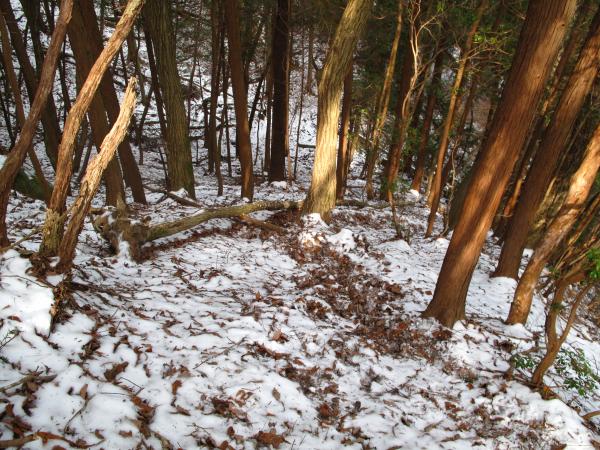 急坂で雪と落ち葉のミックスは非常に滑ります