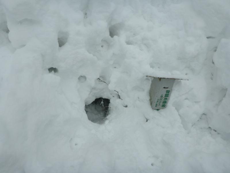 雪霊水は雪に埋まっていました。