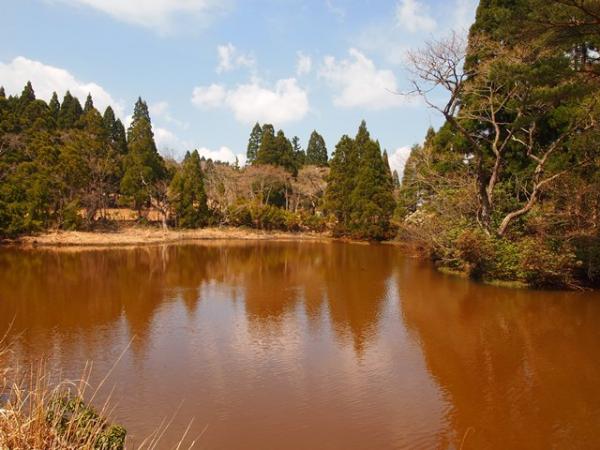 金の湯の様な八雲ヶ原のお池